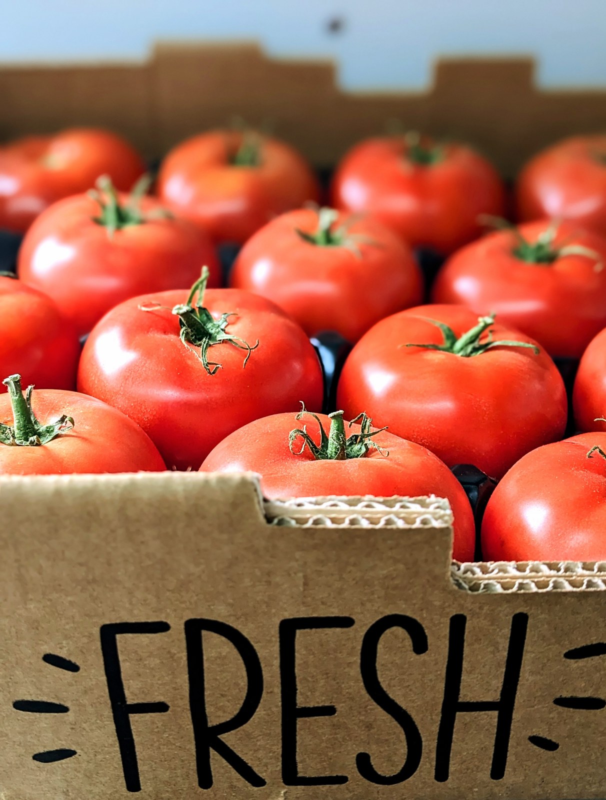 PXL_20240213_180758447.PORTRAIT~2_1212x1600